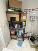 LOT CONSISTING OF CONTENTS OF JANITORIAL ROOM