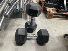 Eleiko 22kg Dumbell Pair