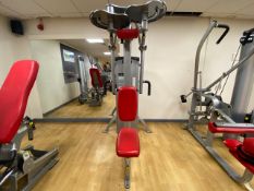 Cybex Fly/Rear Delt