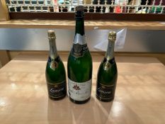 Display Champagne Bottles x3