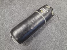 Everlast Punch Bag