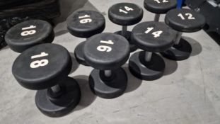 Dumbell Set 12kg,14kg,16kg,18kg
