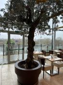 Large Resin Plant Pot With Olive Tree