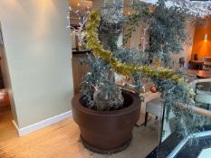 Large Resin Plant Pot With Olive Tree