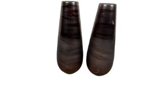 Amara Design Glass Vases x 2