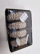 Napkin Rings Set of 4