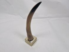 Horn Sculpture