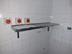 Stainless Steel Shelving x4