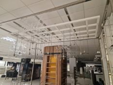 Hanging Lighting Fixture