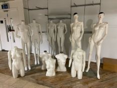 Assorted Mannequin & Torsos