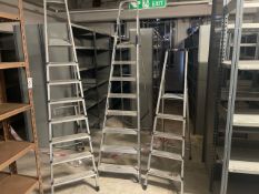 Set Of 3 Ladders