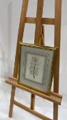 Artwork -Venus Flowers Print