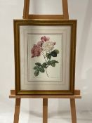 Flower Artwork Print