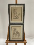 Artwork Print Set Of 2