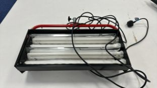 PhotoNbeard Highlight Light Bank