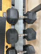 30kg Dumbells x2