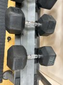 25kg Dumbells x2