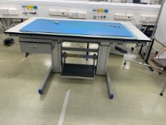 Adjustable Work Bench
