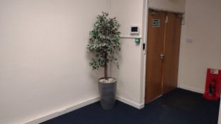 Artificial Floor Standing Plant