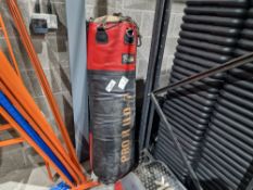 Pro X Punch Bag