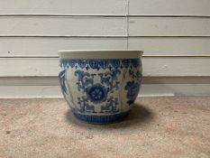 Plant Pot