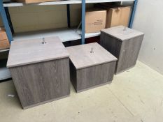 Trio Of Mannequin Display Stands