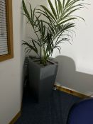 Artificial Plant