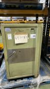 Commercial Safe