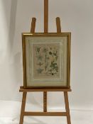 Artwork - La Flore Decorative From Claridge's Hotel
