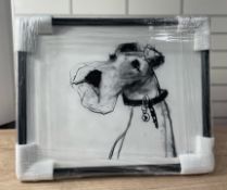 Giclee Fine Art PrintSigned by Artist