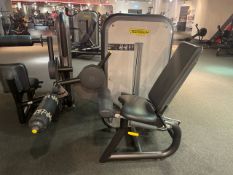 Technogym Leg Extension
