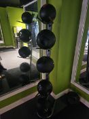 Medicine Balls and Stand