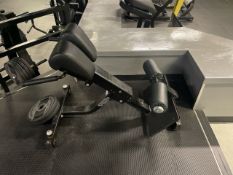 Technogym Lower Back Press