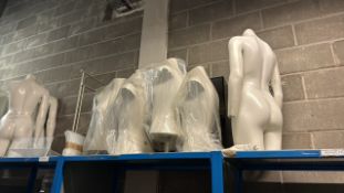 Assorted Torso Mannequins x 9