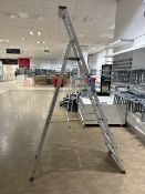 Set of Zarges Ladder