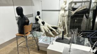 Quantity of Mannequins and Stands