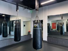 Everlast Boxing Bag x1