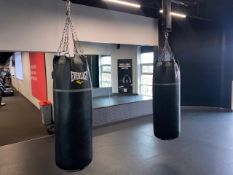 Everlast Boxing Bag x1