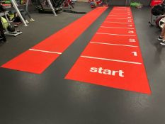 10 Meters of Excercise Tracks x2