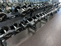 Iron Grip Dumbell Set 14kg, 16kg, 18kg