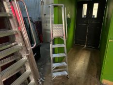 Metal Step Ladder