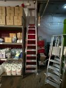 Ladder with Hand Rails