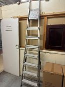 Set of Ladders