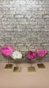 Amira Display Items