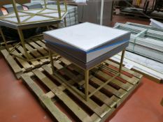 Backlit Display Table