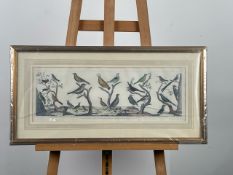 Artwork - Natural History Bird Print