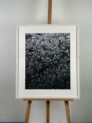 Artwork framed print