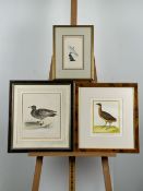 Artwork Bird Prints x 3