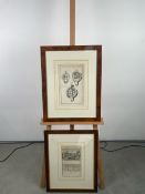 Artwork - Roman Historical Print x2