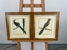 Artwork Bird print x 2